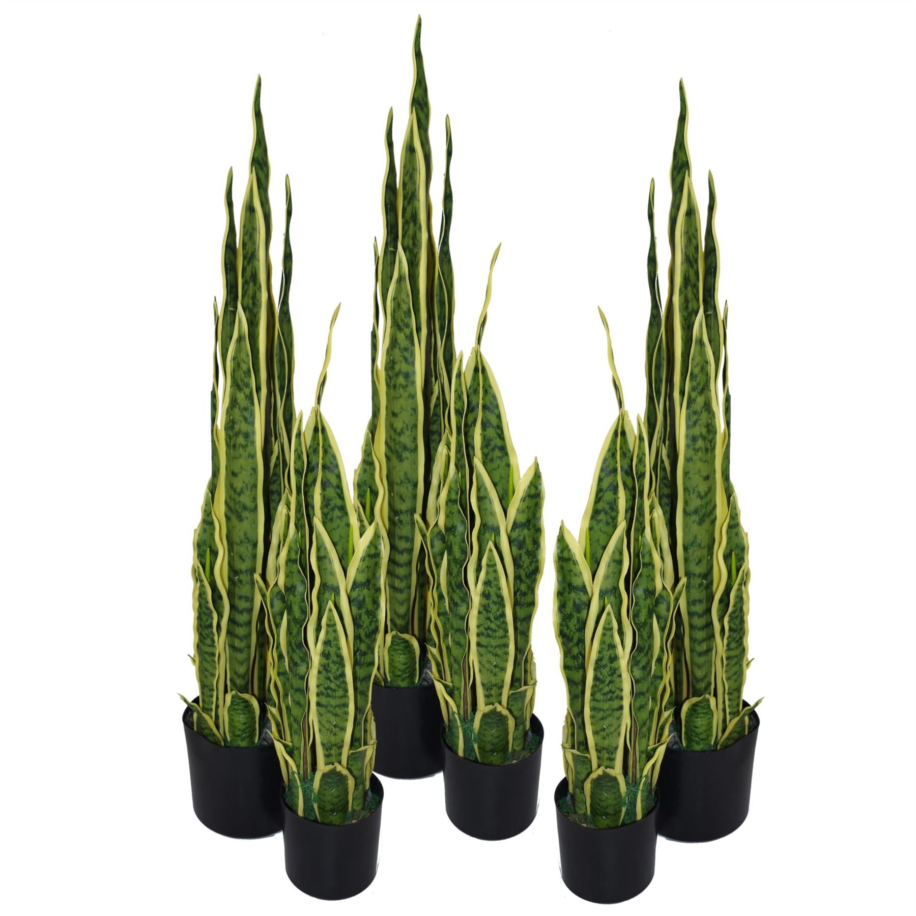 Vibrant 55cm Artificial Sansevieria Plant - No - Maintenance Home Décor - plants - express.com