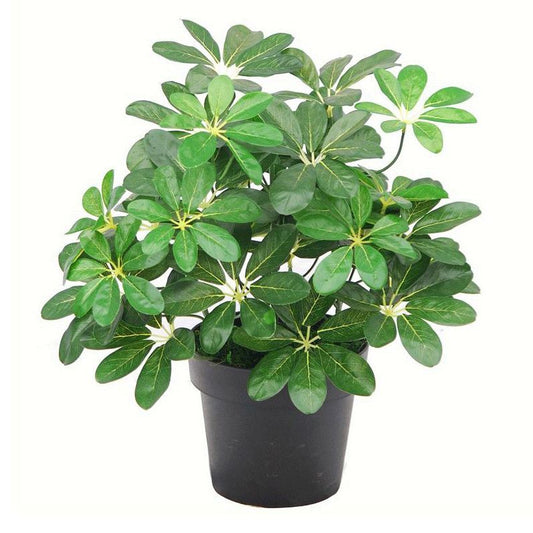 Vibrant 55cm Dark Green Artificial Schefflera Arboricola - Perfect Home Accent! - plants - express.com