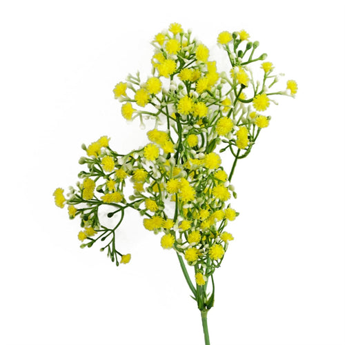 Vibrant 55cm Yellow Gypsophila Stem - Realistic, Shapable Floral Decor - plants - express.com