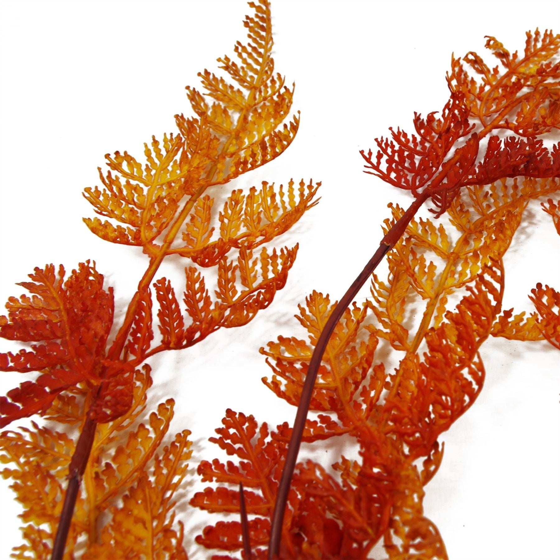 Vibrant 6 - Pack 100cm Artificial Hanging Maidenhair Fern - Autumn Orange - plants - express.com