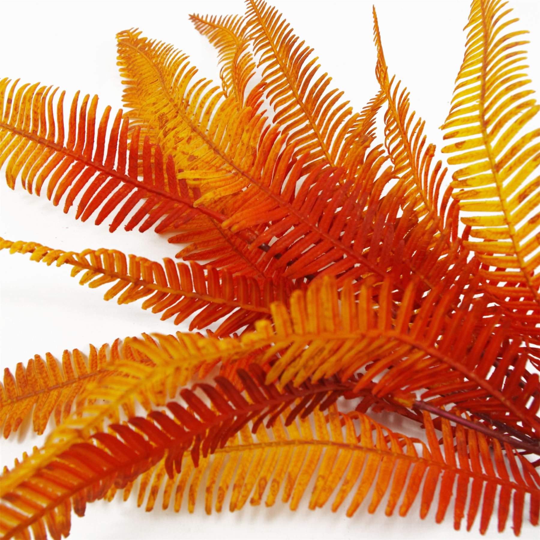 Vibrant 6 - Pack Artificial Autumn Fern Bush - No Maintenance, Perfect for Home Decor - plants - express.com