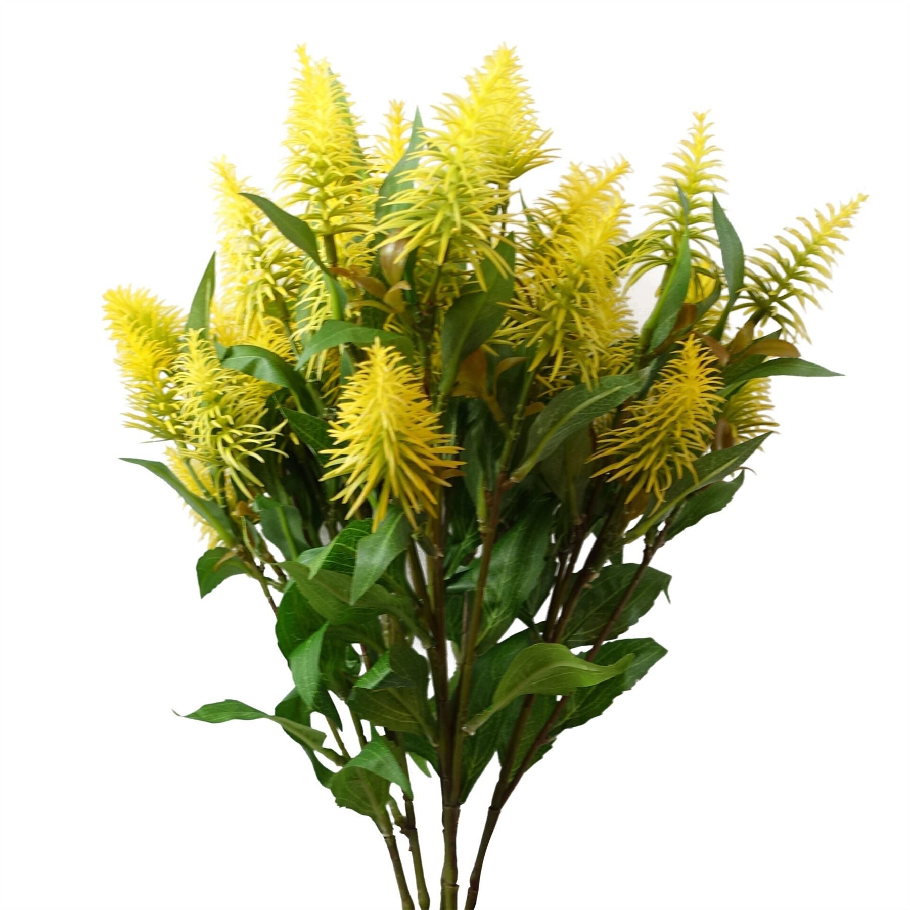 Vibrant 6 - Pack of 55cm Yellow Callistemon Bottle Brush Stems for Floral Designs - plants - express.com