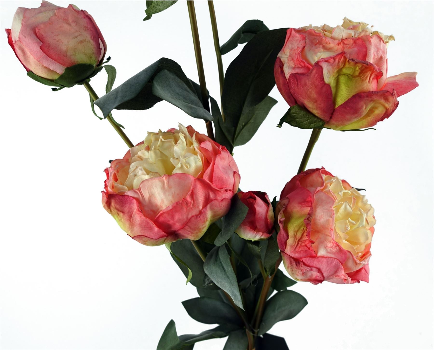 Vibrant 6 - Pack Pink Peony Artificial Stems – Bouquets Made Easy! - plants - express.com