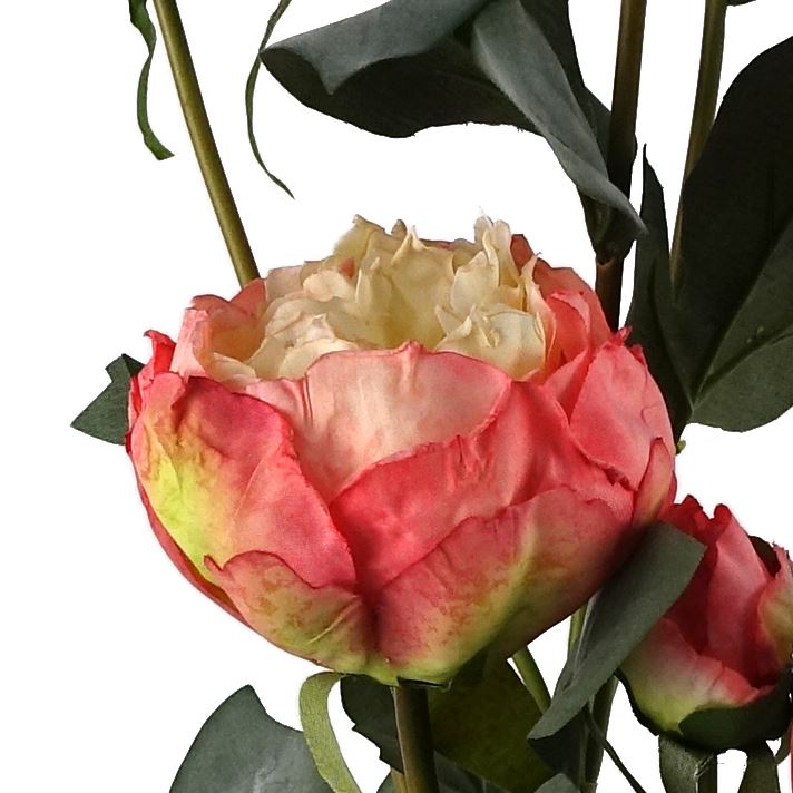 Vibrant 6 - Pack Pink Peony Artificial Stems – Bouquets Made Easy! - plants - express.com