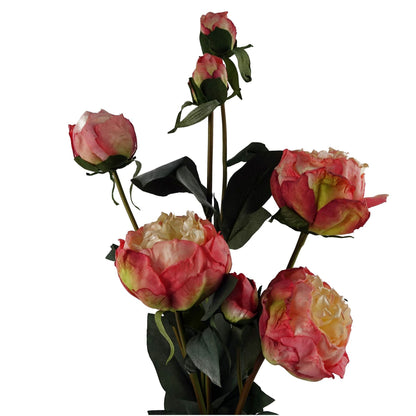 Vibrant 6 - Pack Pink Peony Artificial Stems – Bouquets Made Easy! - plants - express.com
