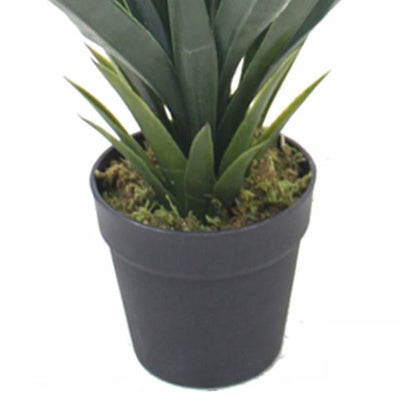 Vibrant 60cm Artificial Agave Succulent - Perfect Tropical Home Decor! - plants - express.com