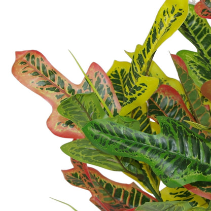 Vibrant 65cm Artificial Codiaeum Croton – Lifelike Tropical Décor Plant - plants - express.com