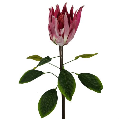 Vibrant 65cm Pink Protea Sugarbush Stem - Realistic Silk Flower Décor - plants - express.com