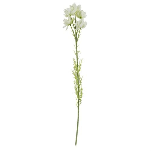 Vibrant 70cm Dark Pink Delphinium & Fern Floral Arrangement with Glass Vase - plants - express.com