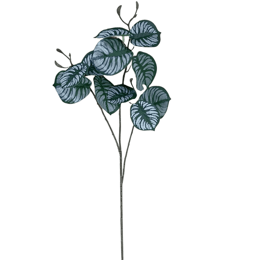 Vibrant 70cm Realistic Artificial Zebra Foliage – No Maintenance Decor - plants - express.com