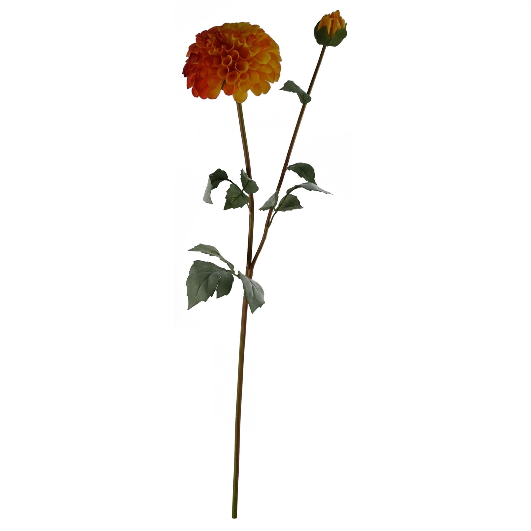 Vibrant 75cm Orange Dahlia & Fern Floral Arrangement with Glass Vase Set - plants - express.com