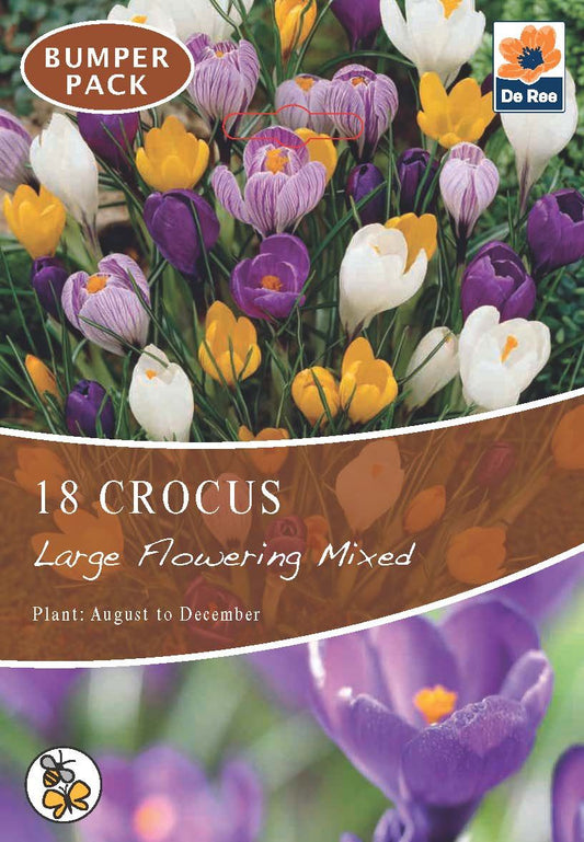 Vibrant Crocus Mixed Bulbs - 16 Colorful Blossoms for Spring Splendor - plants - express.com