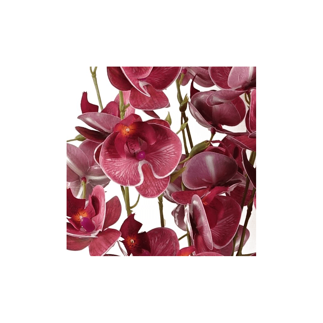 Vibrant Dark Pink 80cm Mini Orchid Stems - Pack of 6 for Stunning Decor - plants - express.com