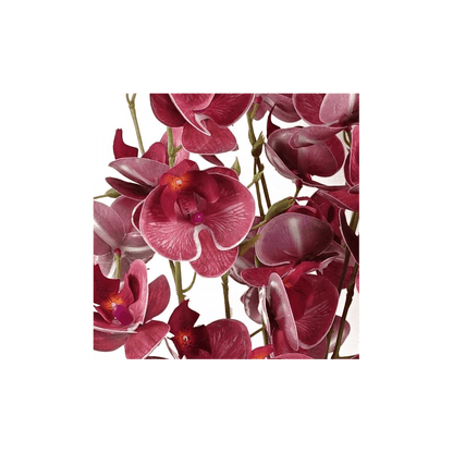 Vibrant Dark Pink 80cm Mini Orchid Stems - Pack of 6 for Stunning Decor - plants - express.com
