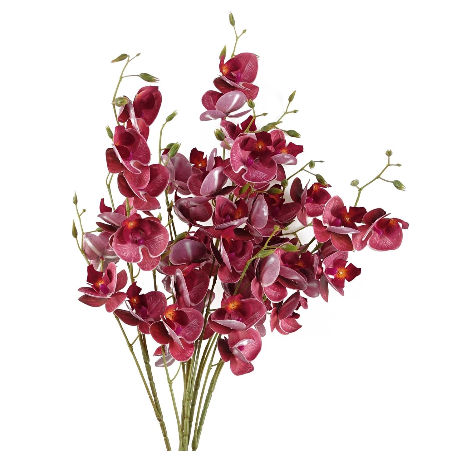 Vibrant Dark Pink 80cm Mini Orchid Stems - Pack of 6 for Stunning Decor - plants - express.com