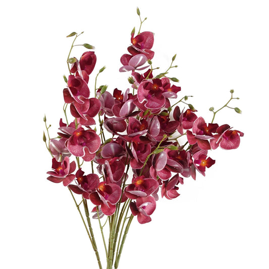 Vibrant Dark Pink 80cm Mini Orchid Stems - Pack of 6 for Stunning Decor - plants - express.com