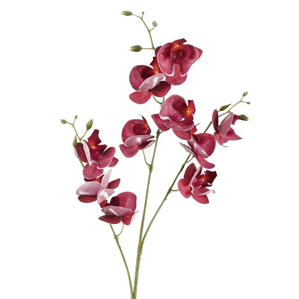 Vibrant Dark Pink 80cm Mini Orchid Stems - Pack of 6 for Stunning Decor - plants - express.com