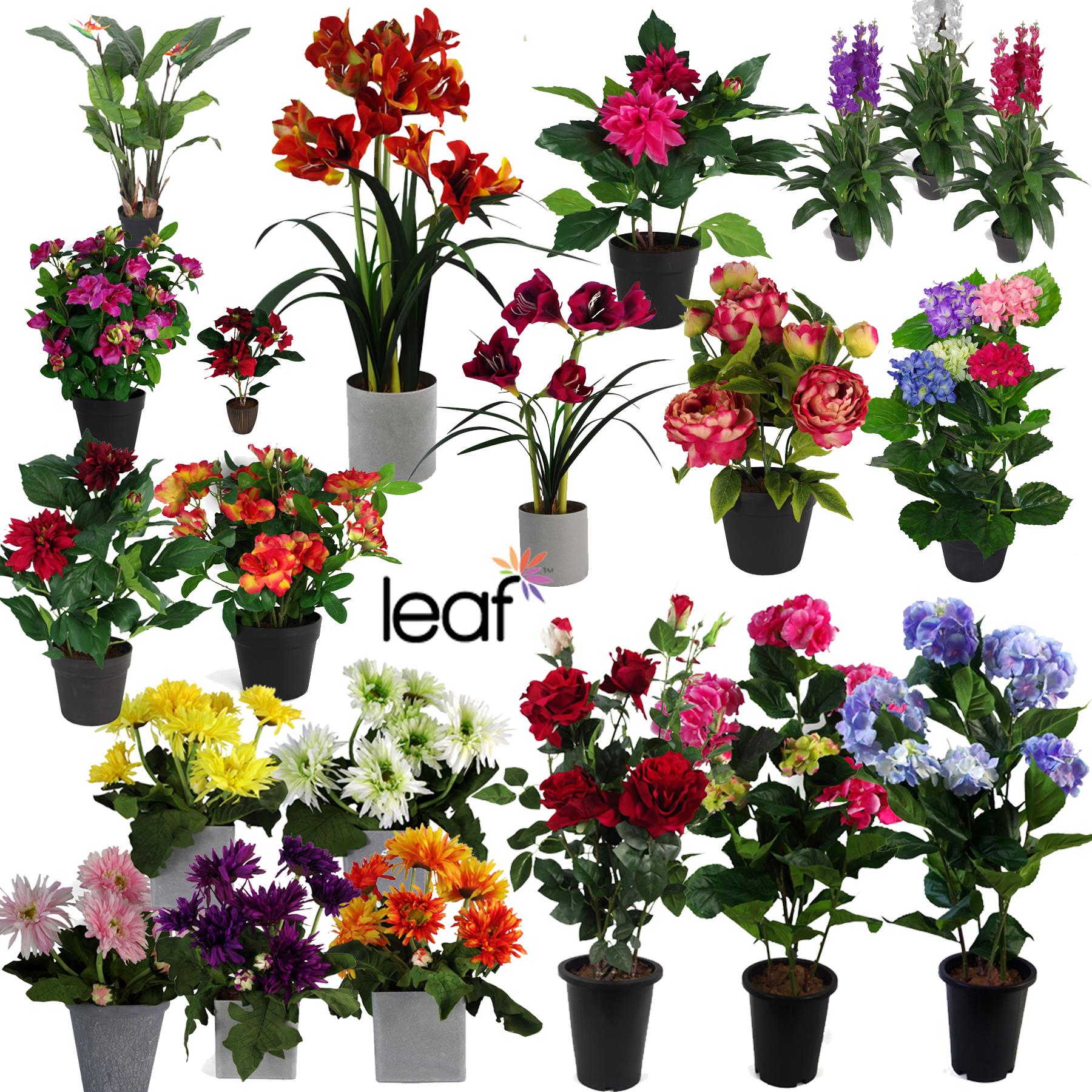Vibrant Large Flowering Artificial Plants for Home & Office Décor - plants - express.com