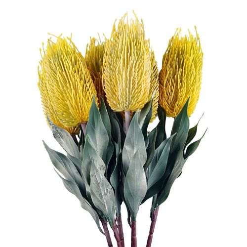 Vibrant Pack of 6 75cm Artificial Yellow Banksia Menziesii Flower Stems - plants - express.com