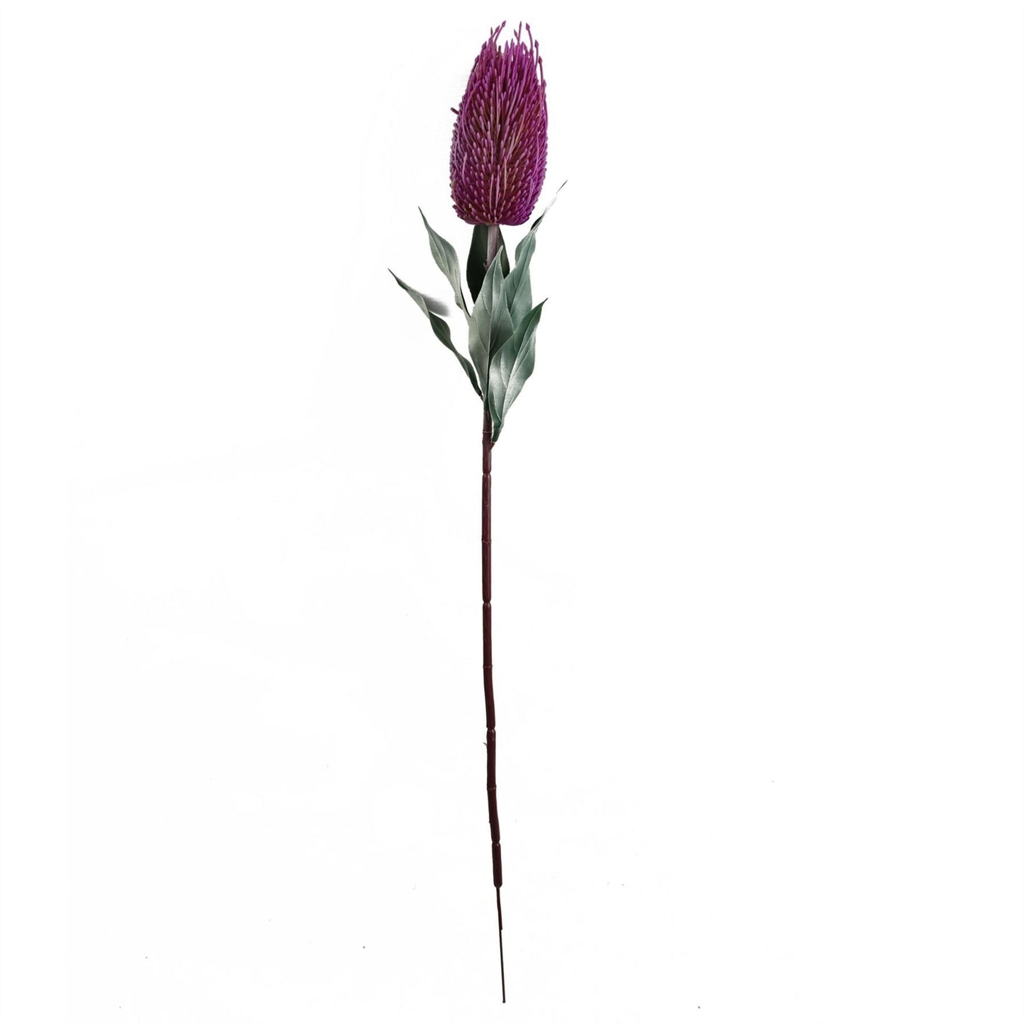 Vibrant Pack of 6 Artificial 75cm Pink Banksia Menziesii Flower Stems - plants - express.com