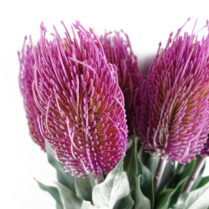 Vibrant Pack of 6 Artificial 75cm Pink Banksia Menziesii Flower Stems - plants - express.com