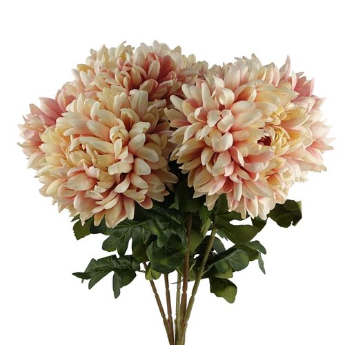 Vibrant Pack of 6 Pink Silk Reflex Chrysanthemums - Extra Large 75cm Stems - plants - express.com