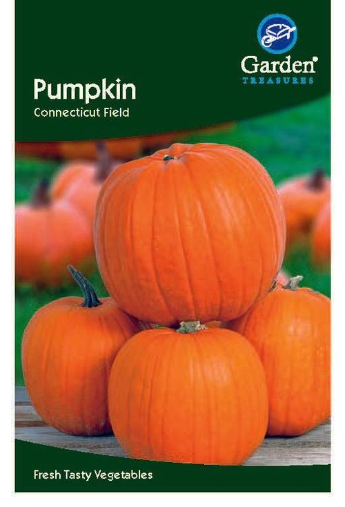 Vibrant Pumpkin Seeds - Perfect for Lanterns & Delicious Pumpkin Pies! - plants - express.com