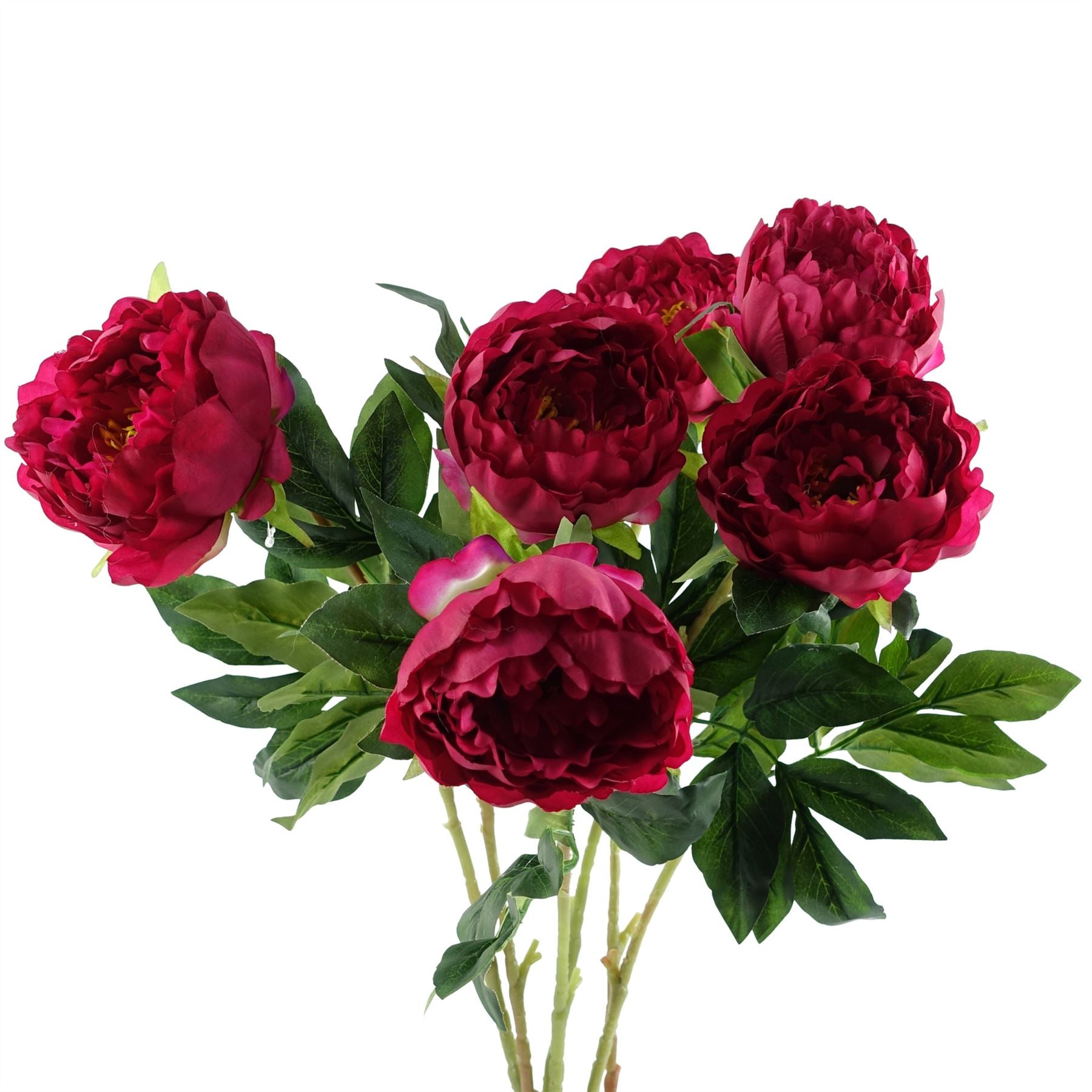 Vibrant Set of 6 Dark Pink Peony Stems - 80cm Silk Floral Elegance - plants - express.com