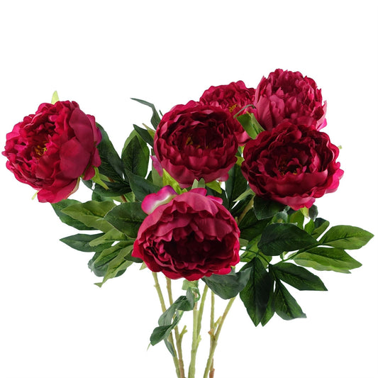 Vibrant Set of 6 Dark Pink Peony Stems - 80cm Silk Floral Elegance - plants - express.com