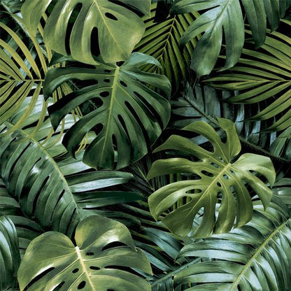 Vibrant Tropical Foliage Living Wall Wallpaper - Embrace Nature Indoors! - plants - express.com