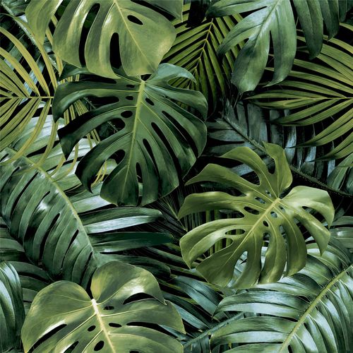 Vibrant Tropical Foliage Living Wall Wallpaper - Embrace Nature Indoors! - plants - express.com