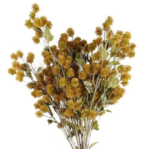 Vibrant Yellow Craspedia Stems - Pack of 6 Whimsical Floral Accents - plants - express.com