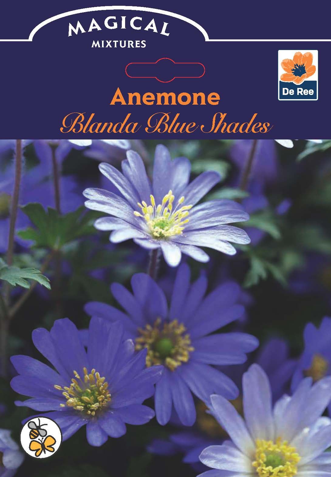Vivid Anemone Blanda Blue Shades - 12 Bulbs for Bright Spring Color - plants - express.com