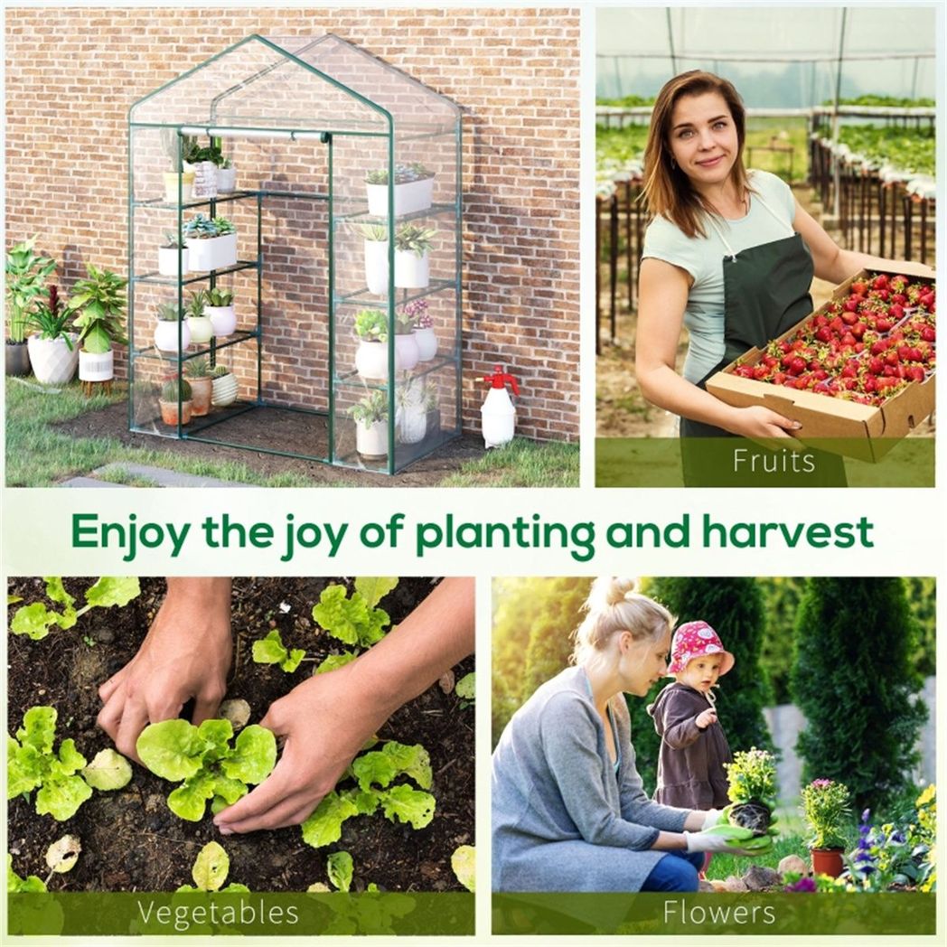 Walk in Greenhouse - plants - express.com