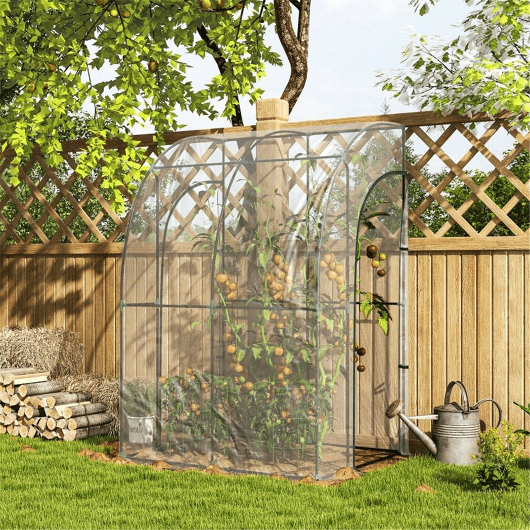 Walk - In Lean to Wall Tunnel Greenhouse - plants - express.com