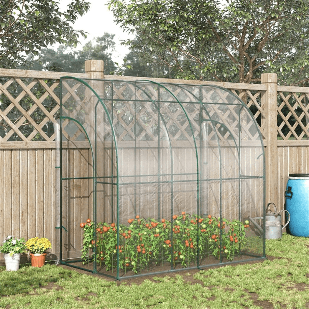 Walk - In Lean to Wall Tunnel Greenhouse - plants - express.com