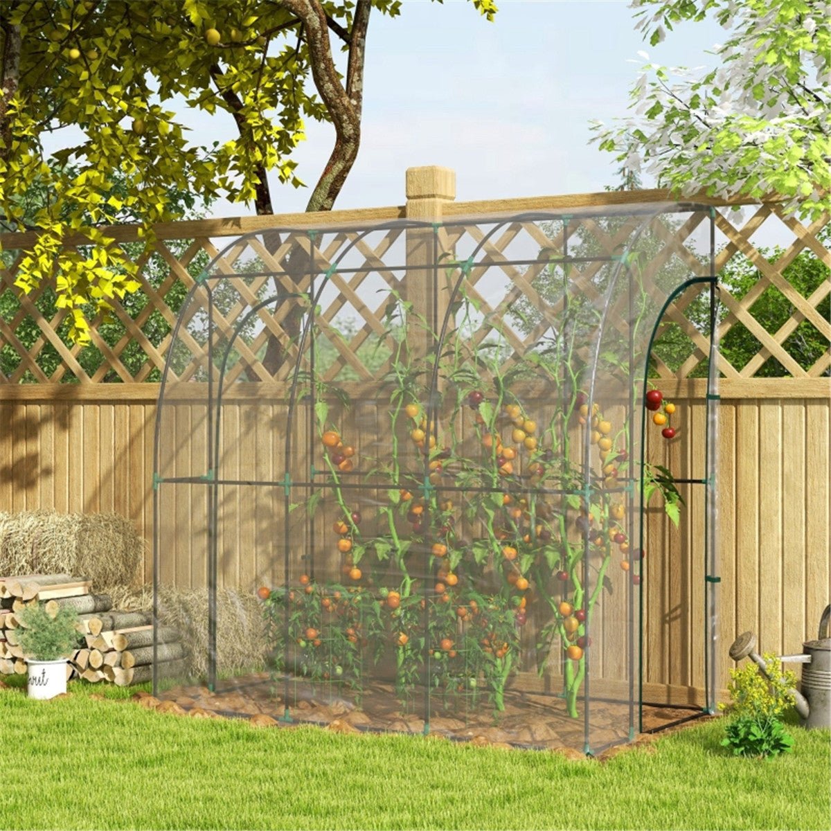 Walk - In Lean to Wall Tunnel Greenhouse - plants - express.com