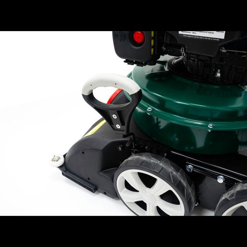 Webb 140cc Walk Behind Vacuum (Briggs & Stratton Engine) - plants - express.com