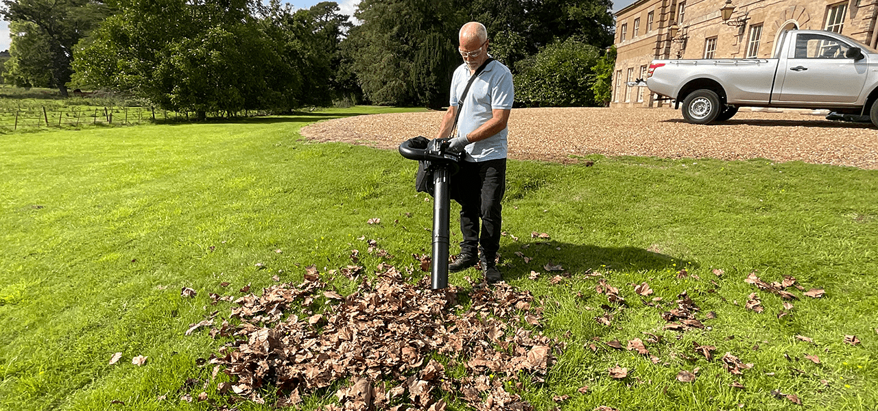 Webb 26cc 114mph (183.6km/h) Petrol Blow Vac - plants - express.com