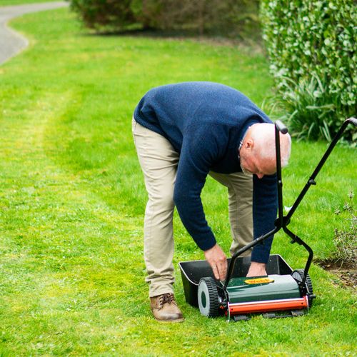 Webb 30cm (12") 'Autoset' Sidewheel Lawnmower - plants - express.com