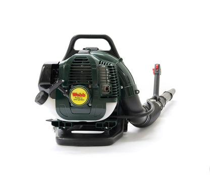 Webb 33cc 179mph (288km/h) Petrol Backpack Blower - plants - express.com
