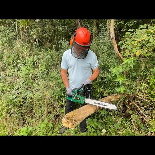 Webb 50cc 41cm (16") Petrol Chainsaw - plants - express.com