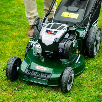 Webb 53cm (21") Alloy Deck Disc Bladed Self Propelled Petrol Rotary Lawnmower (Briggs & Stratton Engine) - plants - express.com