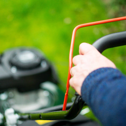 Webb Classic 41cm (16") Petrol Rotary Lawnmower - plants - express.com