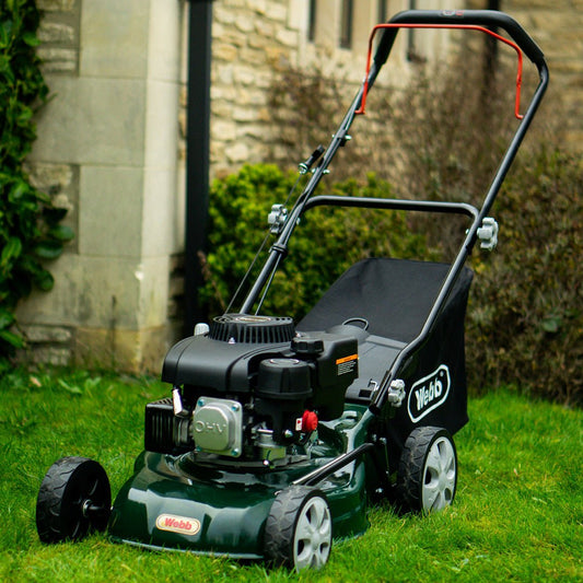 Webb Classic 41cm (16") Petrol Rotary Lawnmower - plants - express.com