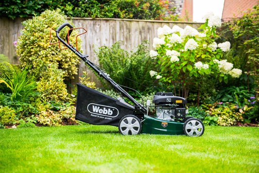 Webb Classic 41cm (16") Self Propelled Petrol Rotary Lawnmower - plants - express.com