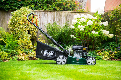 Webb Classic 41cm (16") Self Propelled Petrol Rotary Lawnmower - plants - express.com