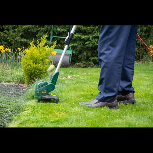 Webb Classic 450w 25cm (10") Linetrimmer & Edger - plants - express.com