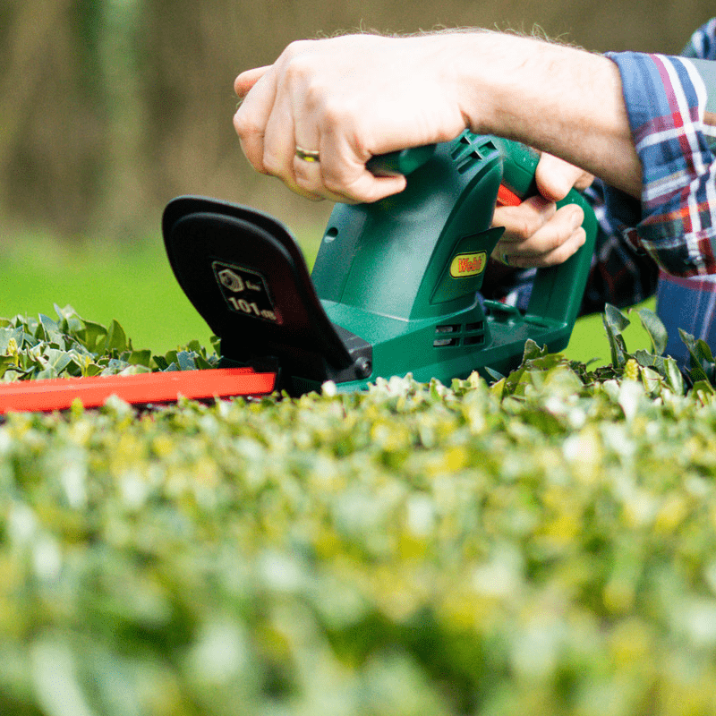 Webb Classic 500w 50cm (20") Electric Hedge Trimmer - plants - express.com