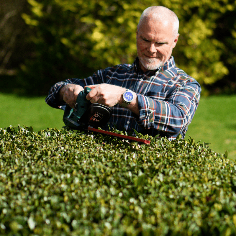 Webb Classic 500w 50cm (20") Electric Hedge Trimmer - plants - express.com